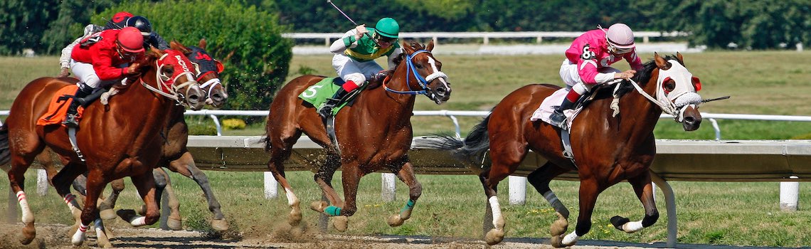 Four horses racing