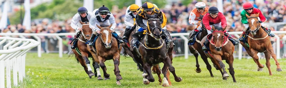 Horses and jockeys racing