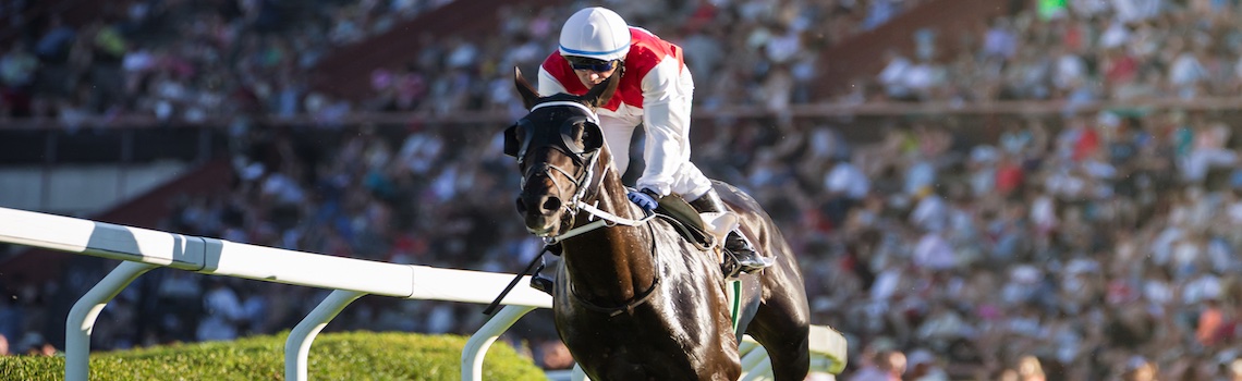 Jockey in red and white on horse