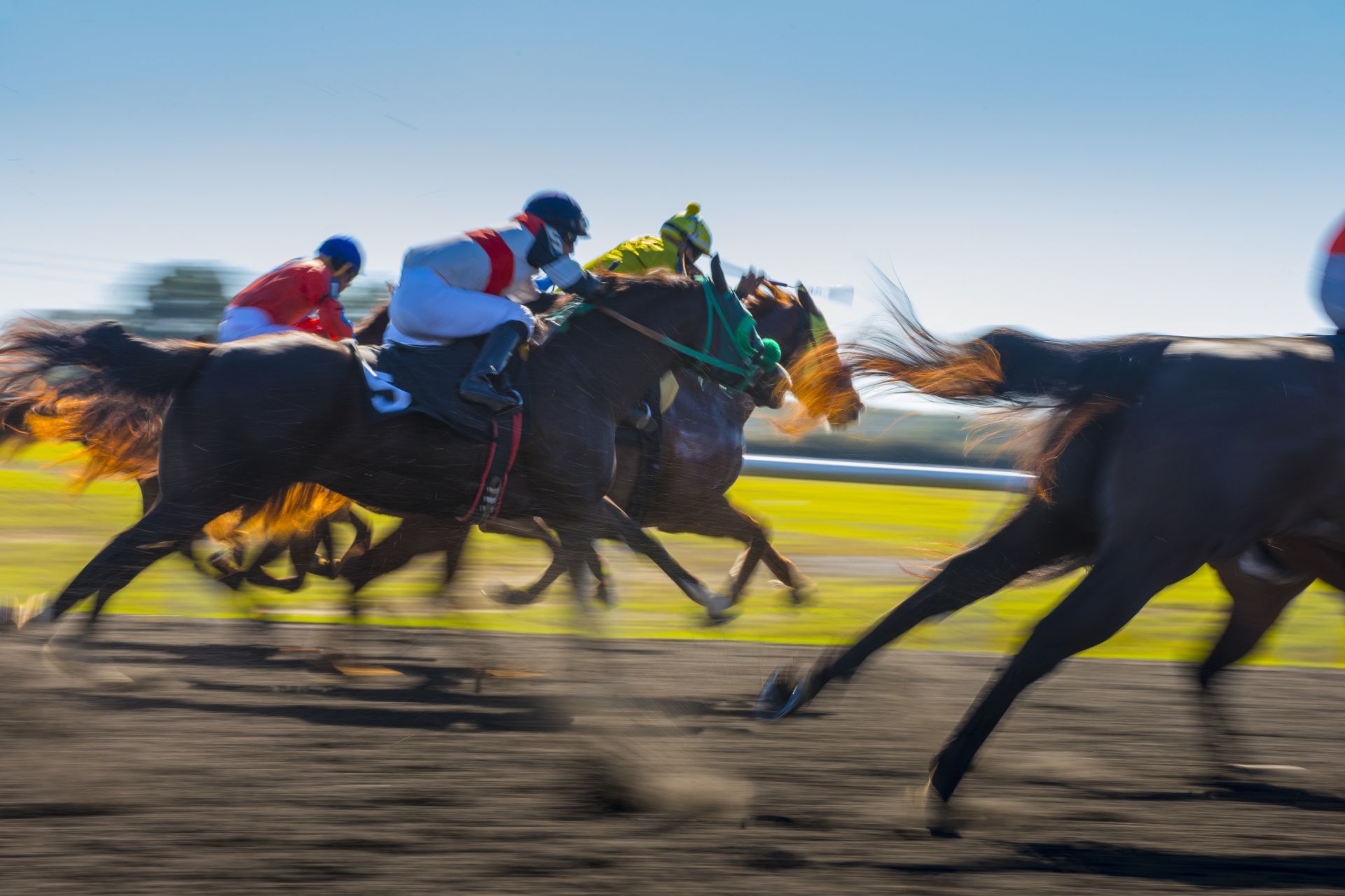 Motion photograph of several horses racing at speed