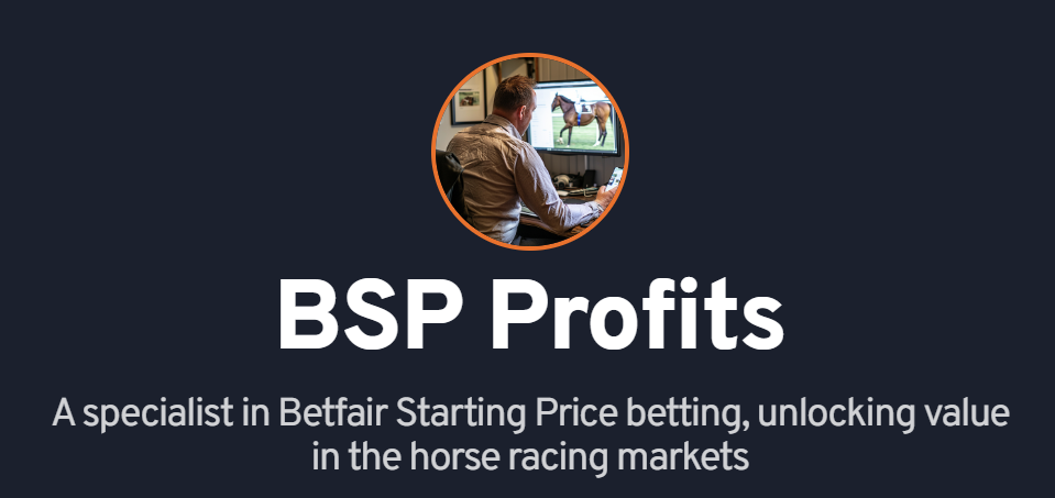 BSP Profits