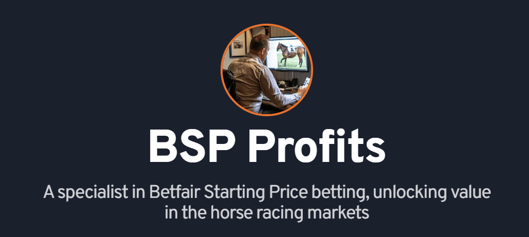 Photo of the BSP Profits tipster and some notes about his service