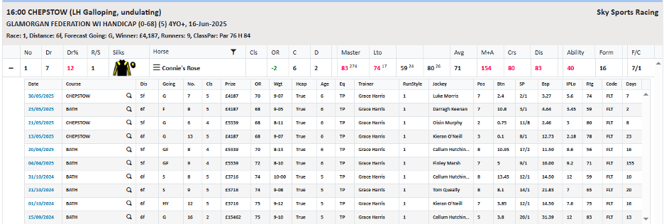 Inform Racing detailed form guide after selecting dropdown