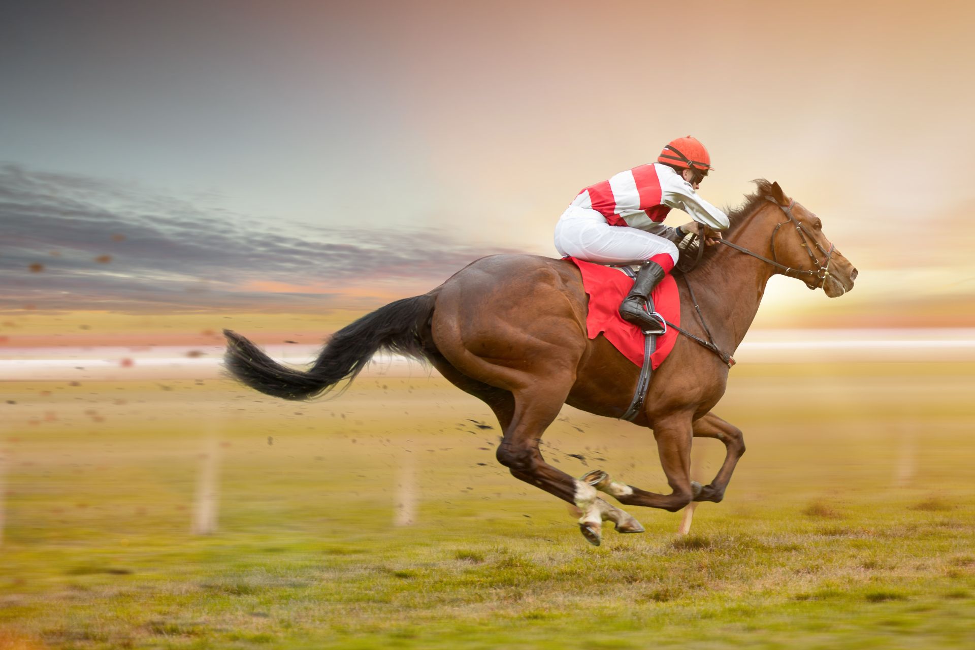 Inform Racing review featured image featuring jockey wearing red and white on galloping race horse