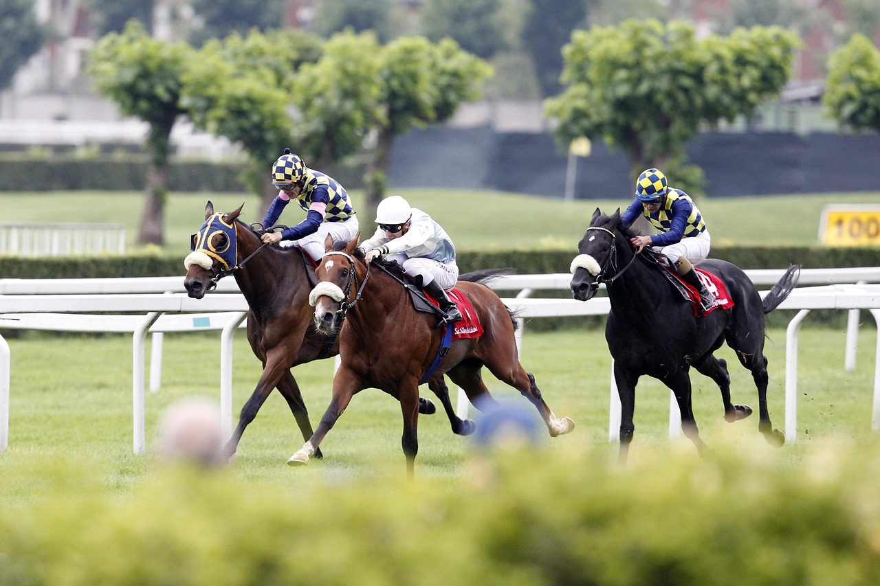 The Outside Edge review featured image with three horses racing