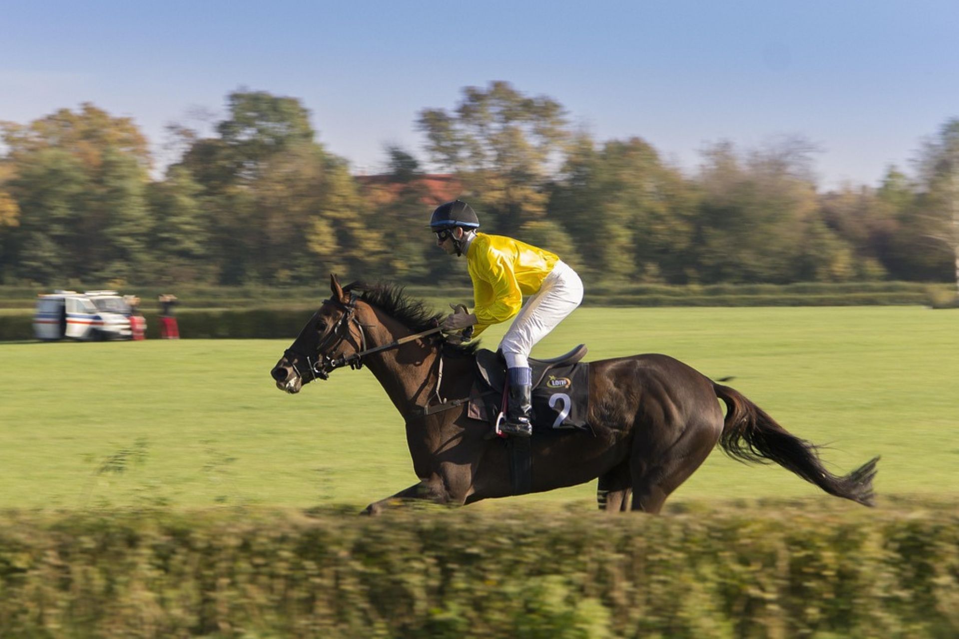 Jockey in white and yellow on racing horse