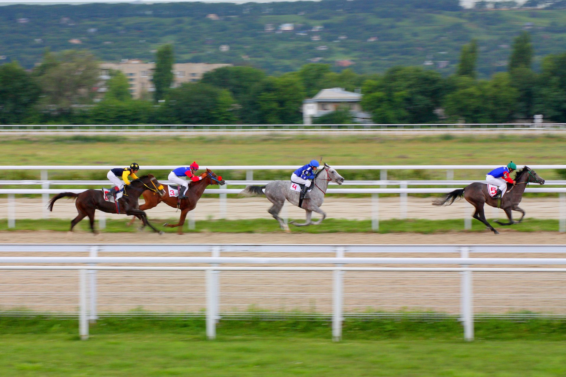 Horses racing on a dirt track with jockeys in colourful silks during a competitive flat race – featured image for Beat the Jolly review