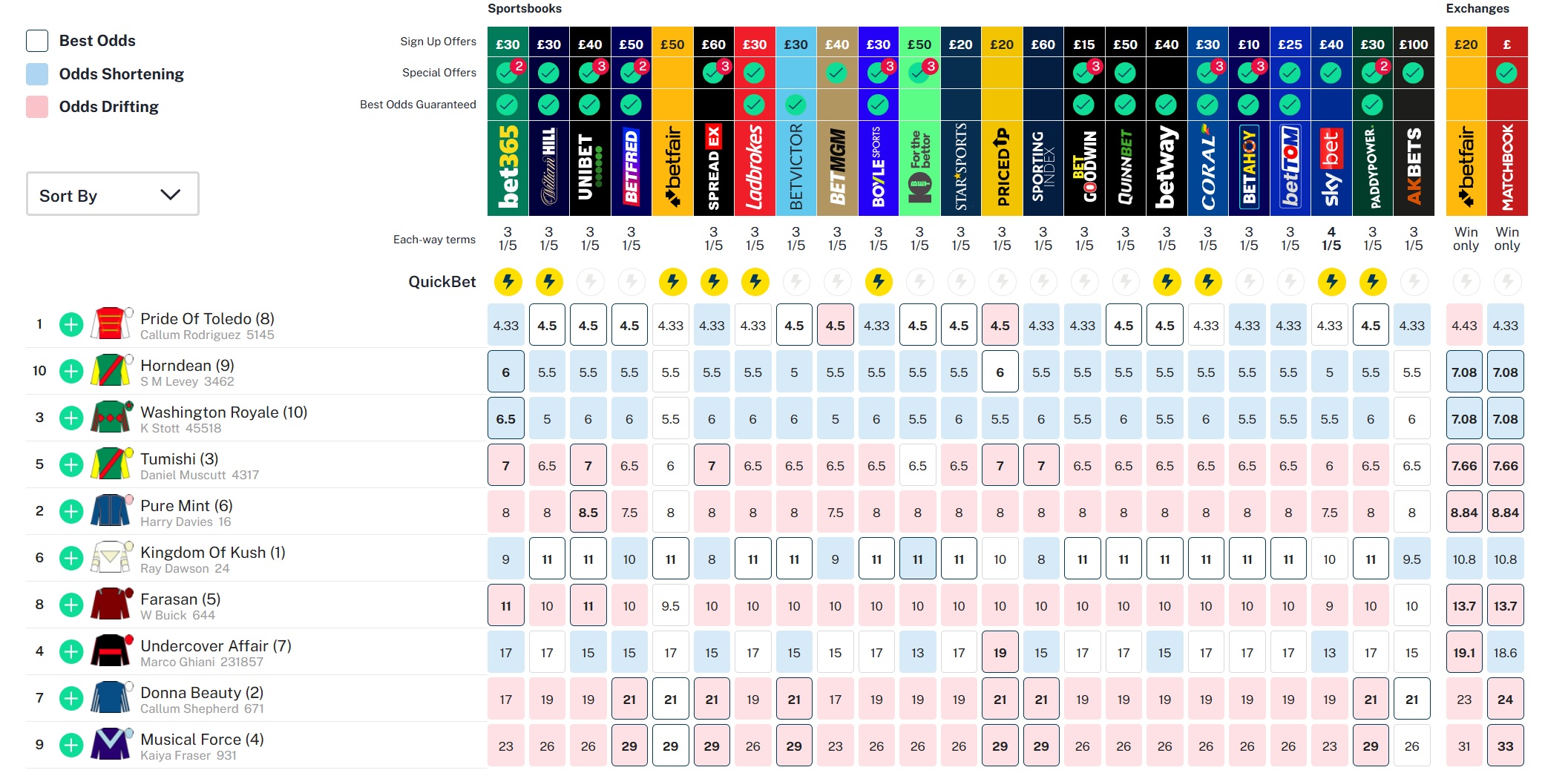 Oddschecker screen showing betting odds for a horse racing market
